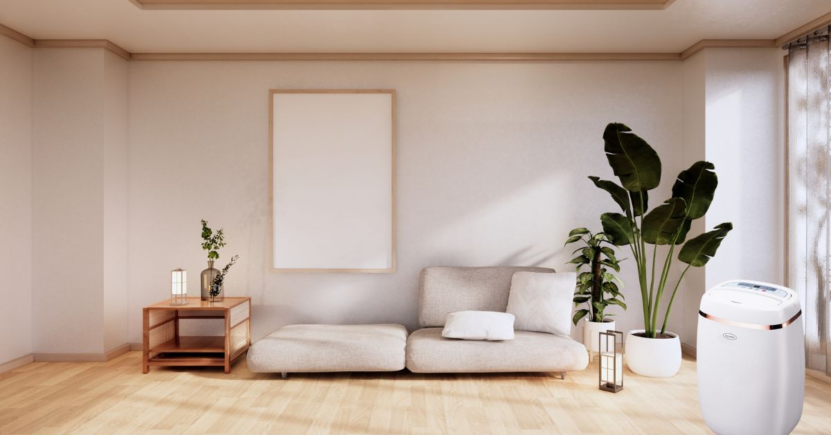 Best Dehumidifiers in Singapore Vanilla Luxury